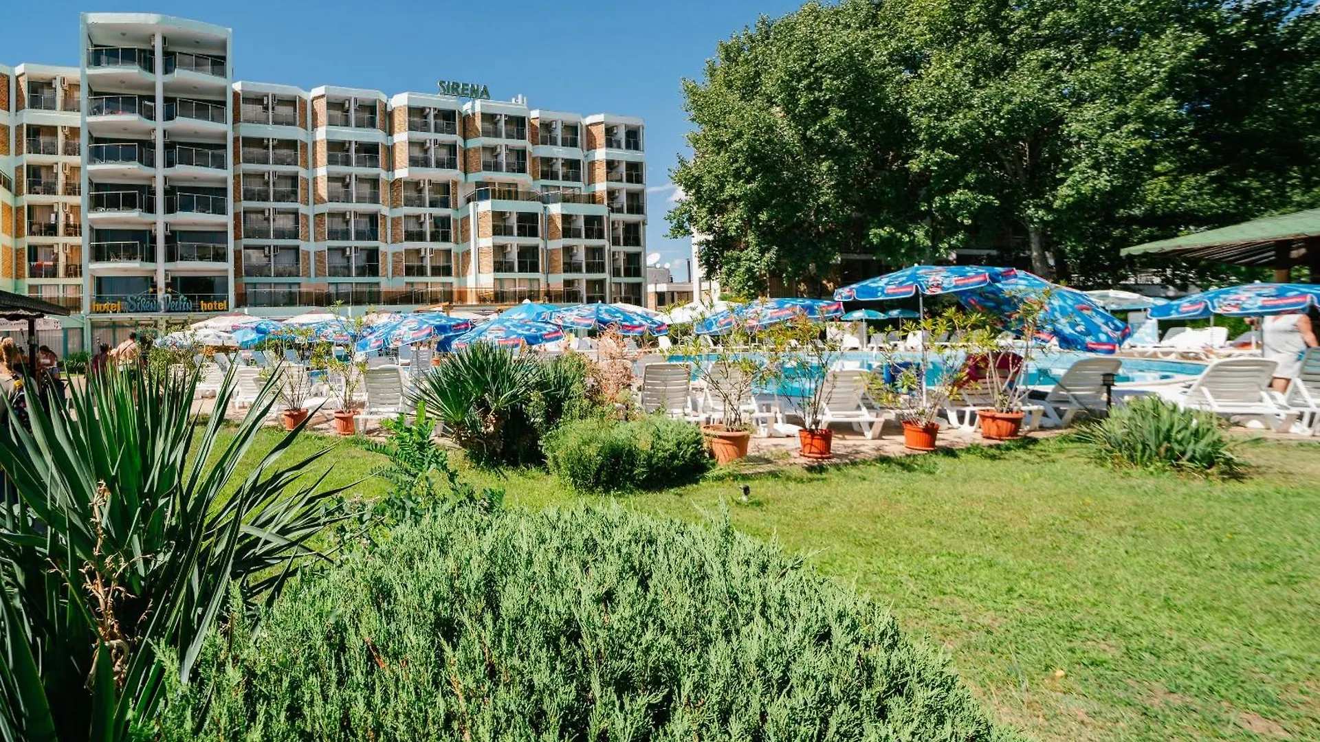 ***  Hotel Delfin Солнечный берег Болгария